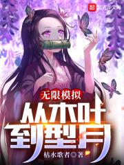 無限模擬：從木葉到型月